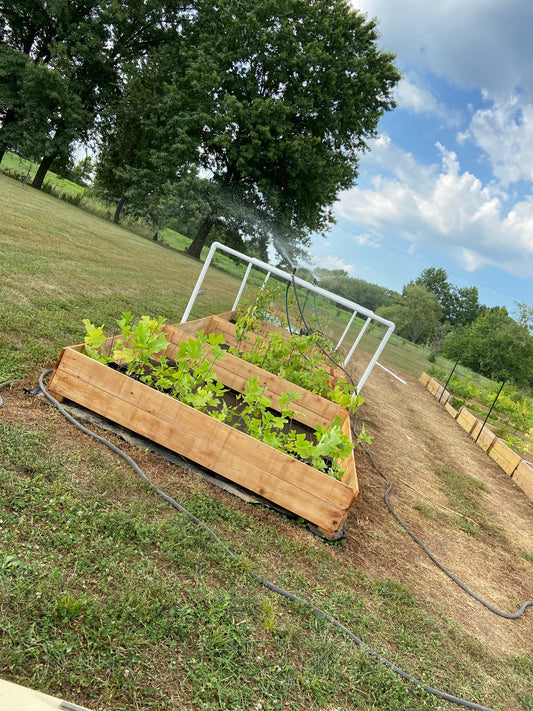 How Large Of A Nursery Are We?