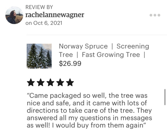 Latest Etsy store reviews November 2021