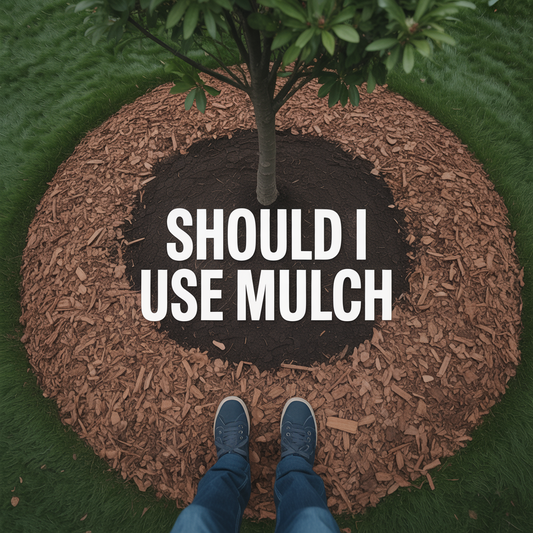 Should I Use Mulch? Your Ultimate Mulching Guide