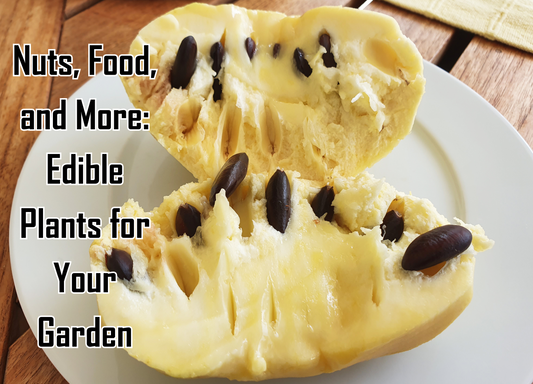 Nuts, Food, and More: Edible Plants for Your Garden