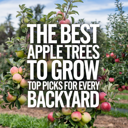 The Best Apple Trees to Grow: Top Picks for Every Backyard