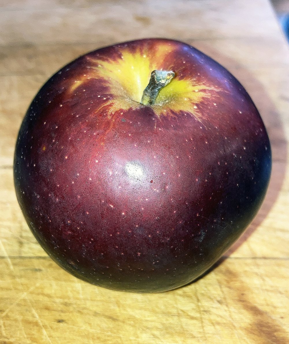 Harvest-ready Arkansas Black apples