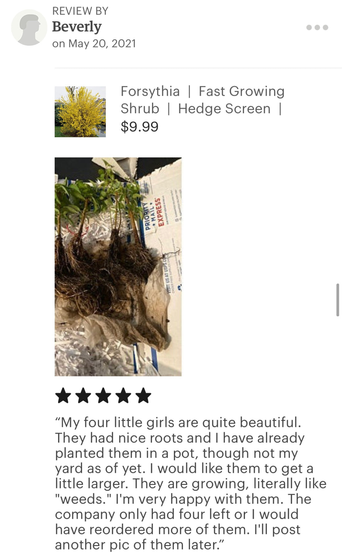 More Good Reviews From Awesome Customers On Our Etsy Store Spring 2021