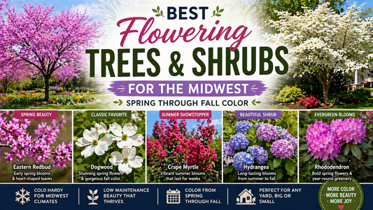 Best Flowering Trees & Shrubs for the Midwest (Spring Through Fall Color)