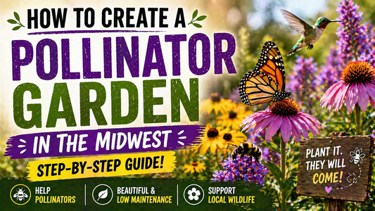 How to Create a Pollinator Garden in the Midwest (Step-by-Step Guide)