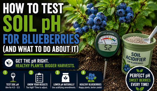 How to Test Soil pH for Blueberries (and What to Do About It)