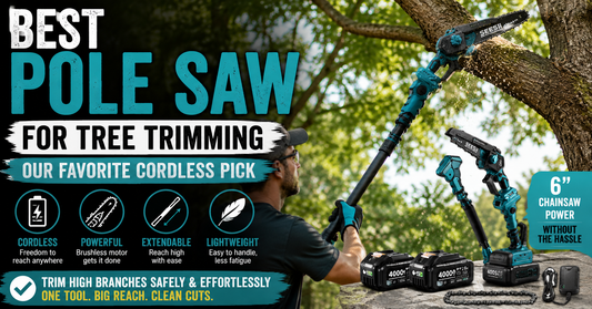 Best Pole Saw for Tree Trimming Our Favorite Cordless Pick