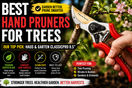 Best Hand Pruners for Trees We Actually Use at Our Nursery