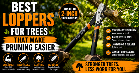 Best Loppers for Trees - Our Favorite for Thick Branches