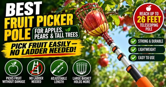 Best Fruit Picker Pole for Apples, Pears, and Tall Trees