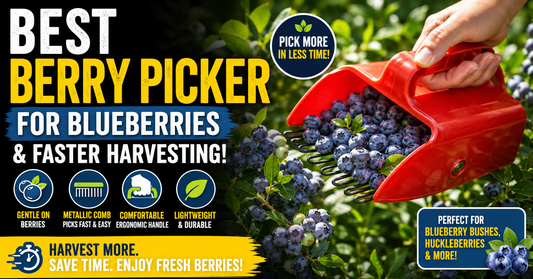 Best Berry Picker for Blueberries and Faster Harvesting