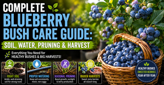 Complete Blueberry Bush Care Guide: Soil, Water, Pruning & Harvest