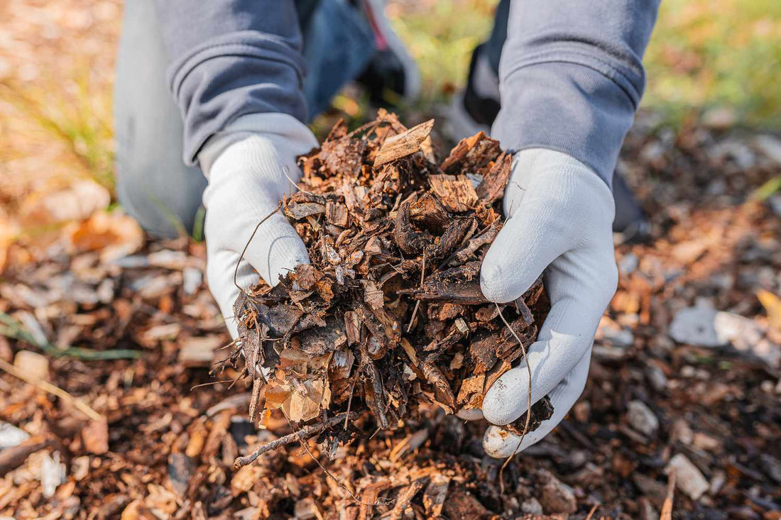 Embrace the Power of Leaf Mulching
