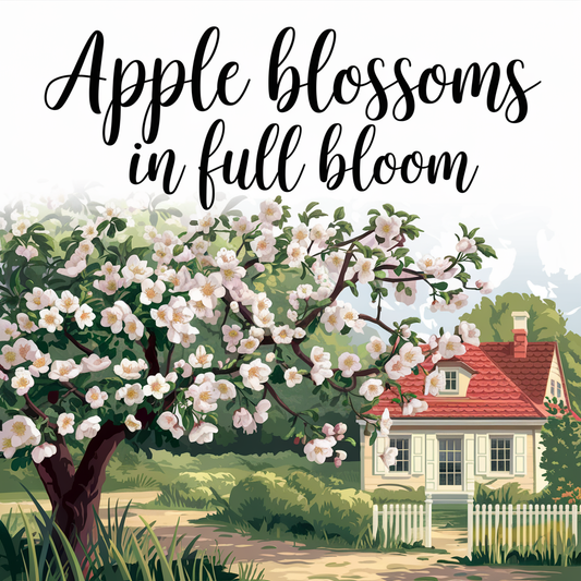 Apple Tree Flowers Blooming In The Spring