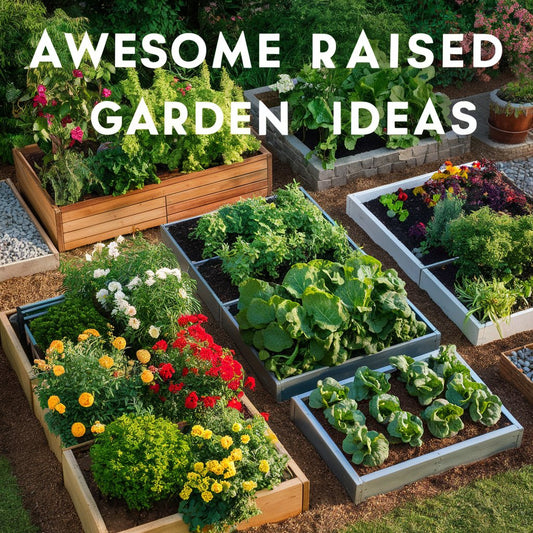 raised garden bed ideas