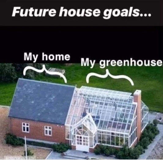 Greenhouse Living: A Dream Home Revolution