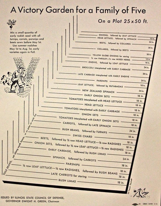 Maximizing Space: A 25×50 ft Victory Garden Plan for Families