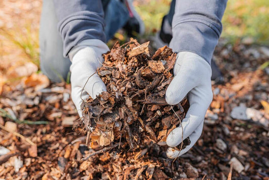 The Power of Leaves: Transform Your Garden with Sustainable Mulching