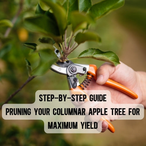 Step-by-Step Guide: Pruning Your Columnar Apple Tree for Maximum Yield