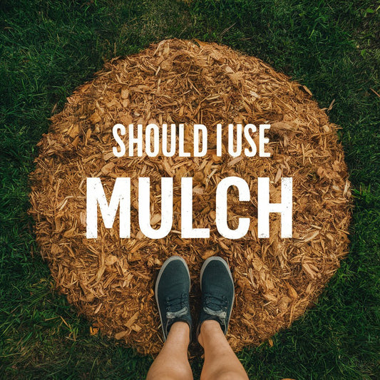 Should I Use Mulch? Your Ultimate Mulching Guide