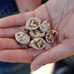 Hand-harvested hickory nuts.
