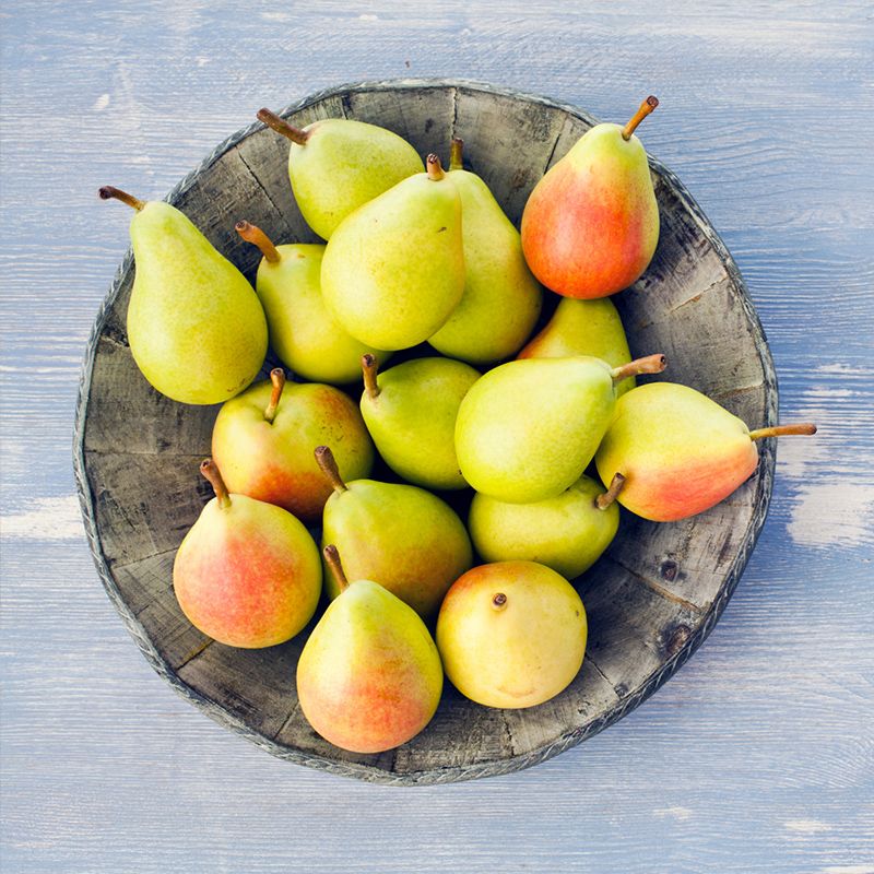 Ayers Pear Tree bearing pears.
