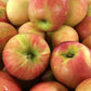 Freshly harvested Honeycrisp apples in a basket
