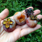 american persimmon tree orange fruit ripening in fall

