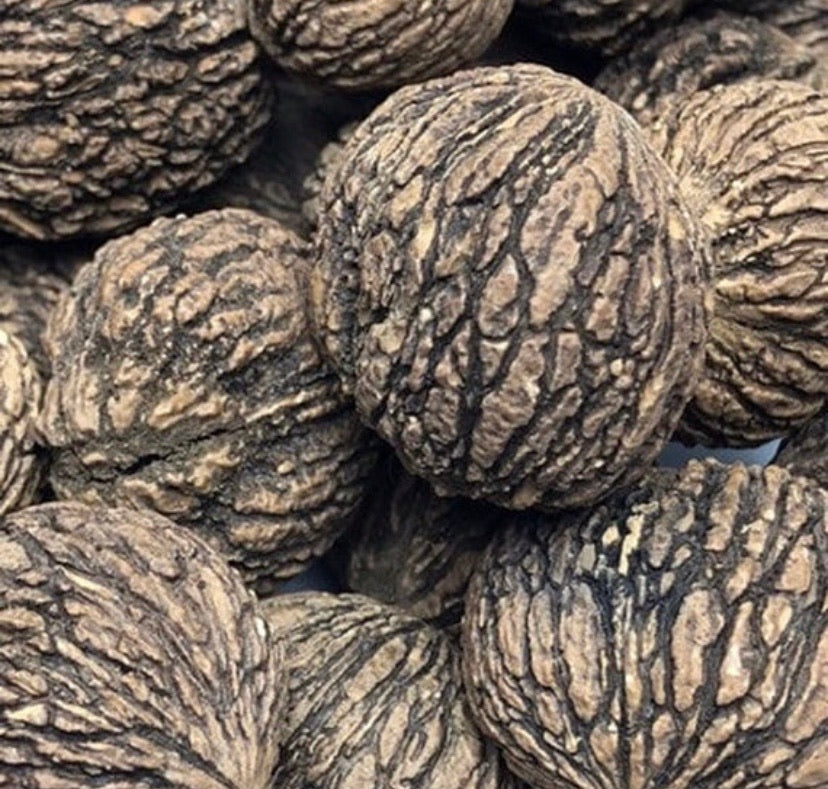 Black Walnuts For Sale | Buy Fresh Black Walnuts In Shell Online